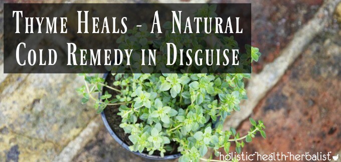 Thyme Heals - A Natural Cold Remedy in Disguise
