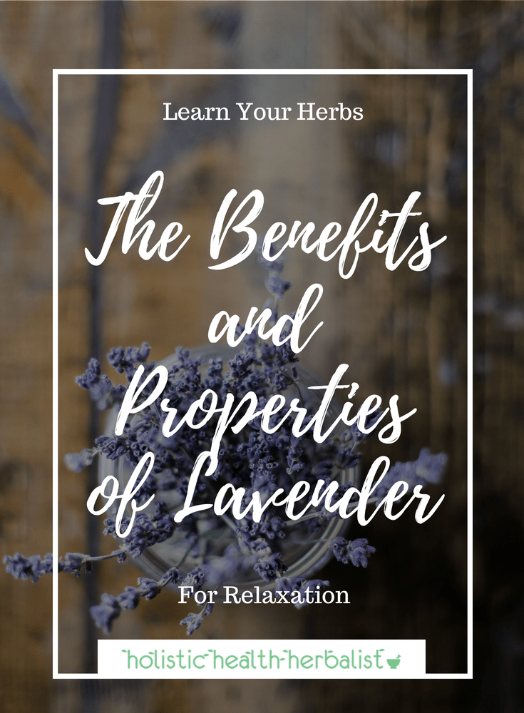 The Benefits and Properties of Lavender - Learn about the many uses of lovely lavender and how to use it in a few delicious recipes!