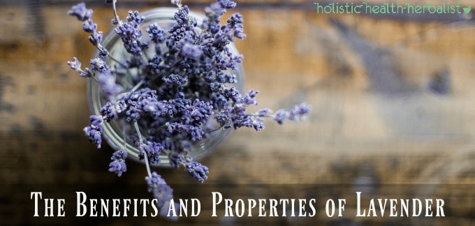 The Benefits and Properties of Lavender