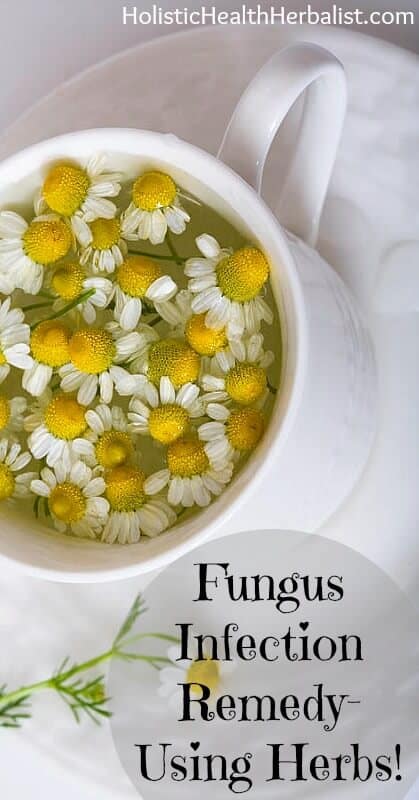 Fungus Infection Remedy Using Herbs - Learn about the best herbs that treat and cure fungal infections!