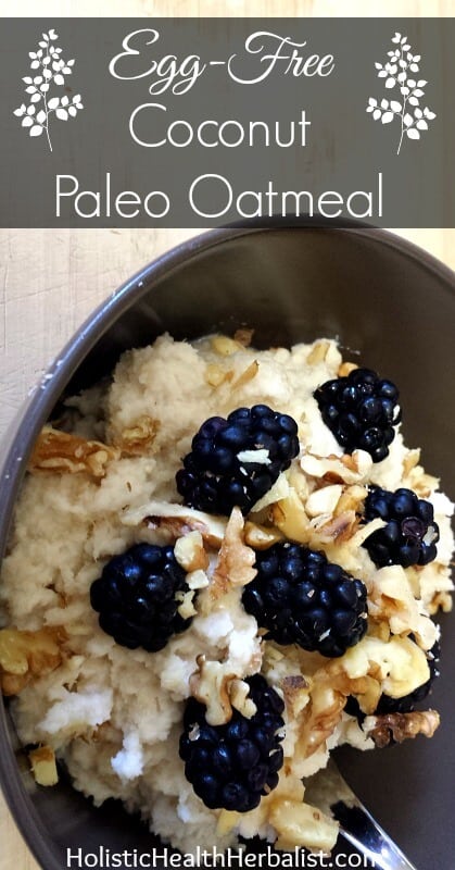 Egg Free Coconut Paleo Oatmeal - Learn how to make a filling and healthy alternative to oatmeal to enjoy for breakfast.