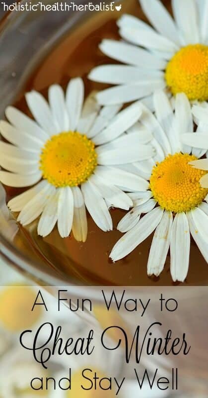 A Fun Way to Cheat Winter a Stay Well - Learn how to use herbs to fend off colds and flu during the winter season.