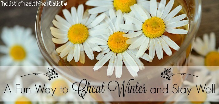cheat winter and stay well