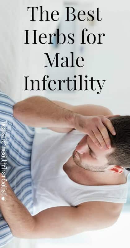 The Best Herbs for male infertility - Learn about which herbs are the most beneficial and supportive for the male reproductive system.