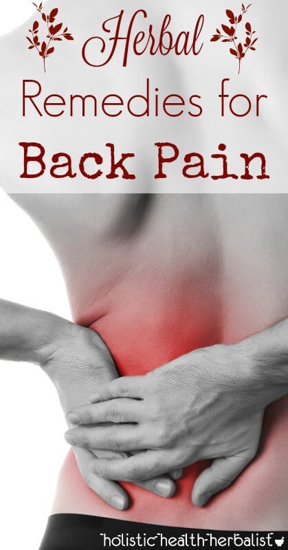 Herbal Remedies for Back Pain - Learn about which herbs treat the underlying causes of back pain including sciatica, inflammation, interstitial fluid stagnation, and bone friction. 