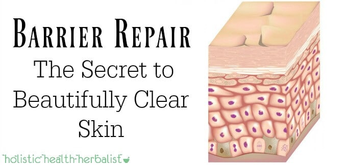 Barrier Repair, The Secret to Beautifully Clear Skin