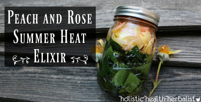 Peach and Rose Summer Heat Elixir