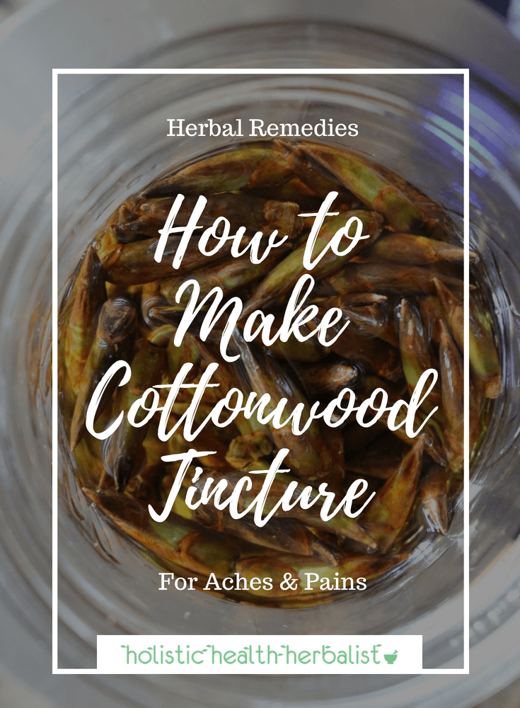 How to Make Cottonwood Tincture - Cottonwood bud tincture is an effective remedy for aches, pains, bruises, arthritis, rheumatism, cough, sore throat, and more!