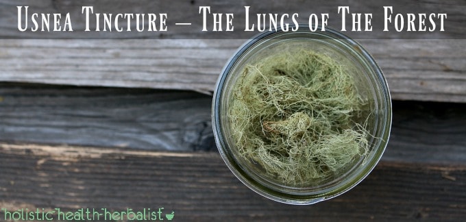 Usnea Tincture, The Lungs of The Forest 2