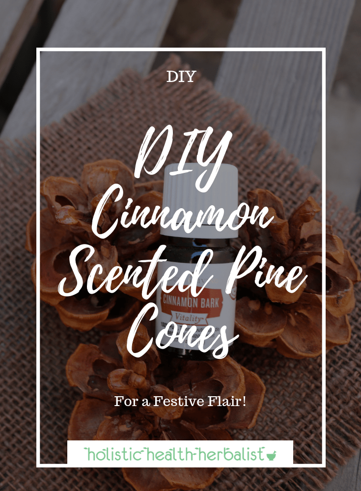 DIY Cinnamon Scented Pine Cones - These are perfect for scenting your home naturally with holiday inspired essential oils!
