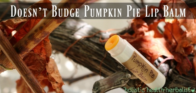 Doesn’t Budge Pumpkin Pie Lip Balm