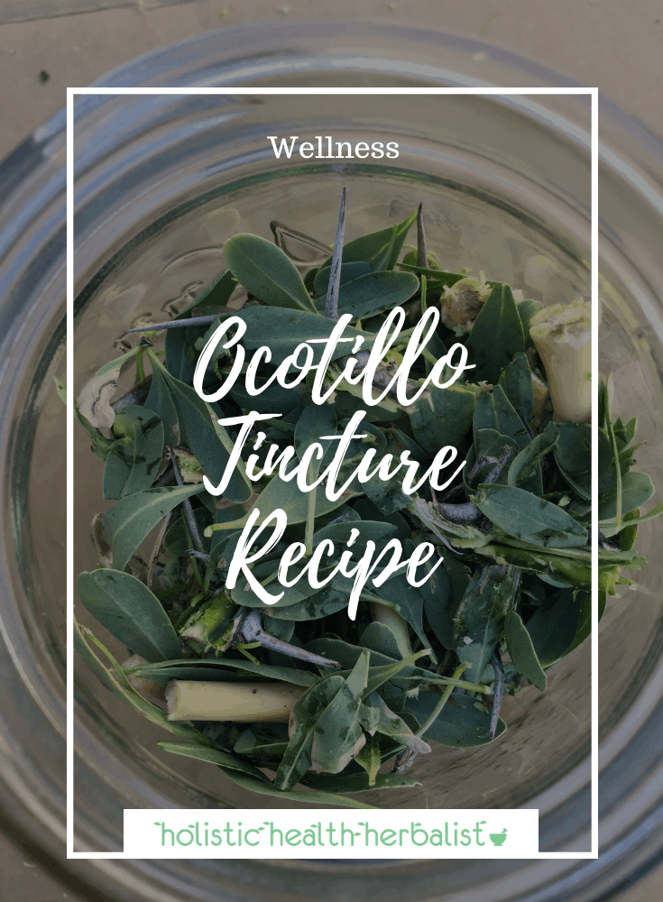 Ocotillo Tincture Recipe – For Stagnancy & Lymphatic Drainage - Ocotillo is known to help drain stuck fluids in the body and emotional blockages.