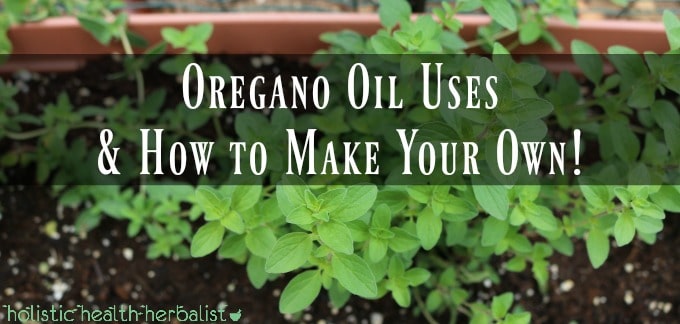 Oregano Oil Uses and Benefits How to Make Your Own!