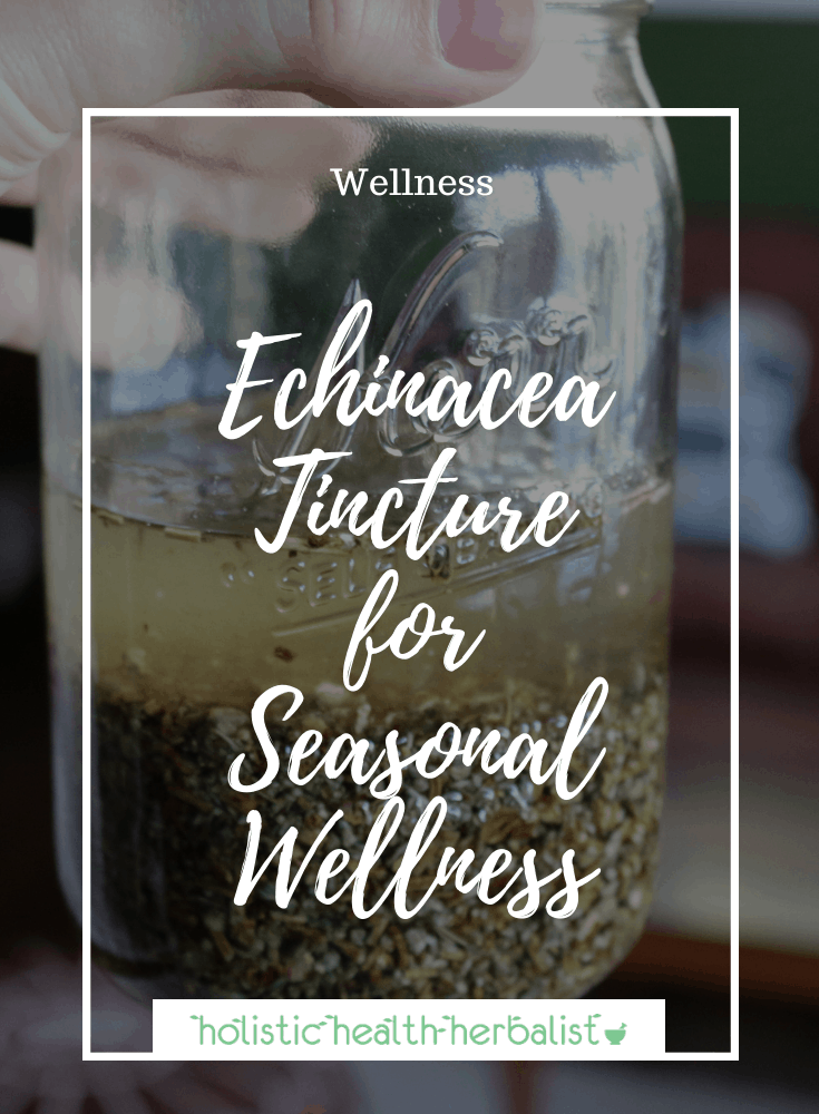 Echinacea Tincture for Seasonal Wellness