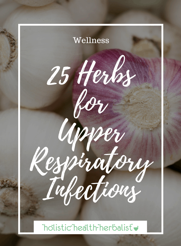 25 Herbs for Upper Respiratory Infections
