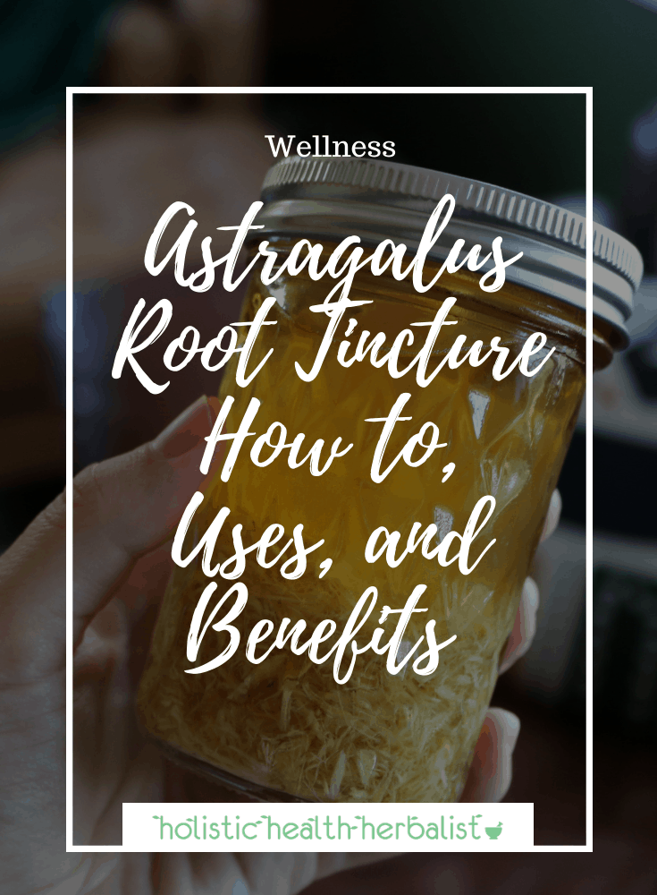 Astragalus Root Tincture – How to, Uses, and Benefits